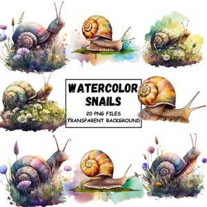 Aquarel slak clipart PNG-formaat direct downloaden voor commercieel gebruik transparante achtergrond