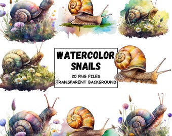 Acuarela Caracol Clipart PNG Formato Descarga Instantánea Para Uso Comercial Fondo Transparente