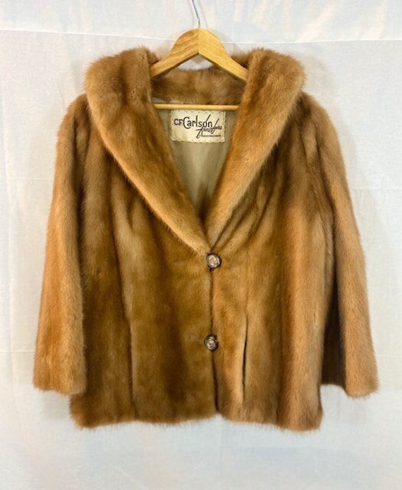 Pastel Mink Jacket - image 1