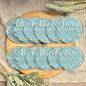 Disques d'étapes pour bébé, Cartes d'étapes importantes, Marquage mensuel, Acrylique, Accessoires photo, Faire-part de naissance, Cadeau de baby shower, Future maman