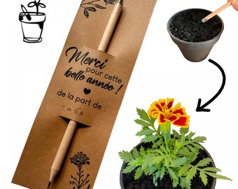 Crayon à planter avec graines d'œillet d’Inde personnalisé cadeau écolo fin d’année scolaire pour maîtresse nounou atsem école remerciement