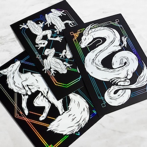 Frogs Fox Dragon Holographique / Noir / Blanc Card Bundle
