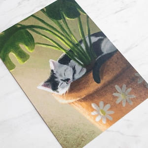 Niedliche Katze schläft im Blumentopf Kunstdruck A5
