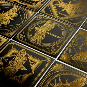Motte Schmetterling Biene Käfer Libelle Gold Schwarz Mysthisch Grußkarte Print