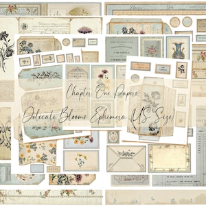 May include: A collection of vintage-style ephemera papers with floral and botanical designs. The papers feature a soft color palette of beige, blue, and pink, with text that reads "Chapter One Papers" and "Delicate Blooms Ephemera US Size". Includes tags, labels, and decorative elements.