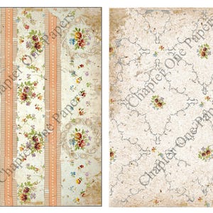 May include: Two digital paper designs featuring a vintage floral pattern on a cream background. The first design has three vertical stripes of peach with white polka dots. The second design has a repeating pattern of delicate blue swirls with small floral accents. Both designs include the text "Chapter One Papers".