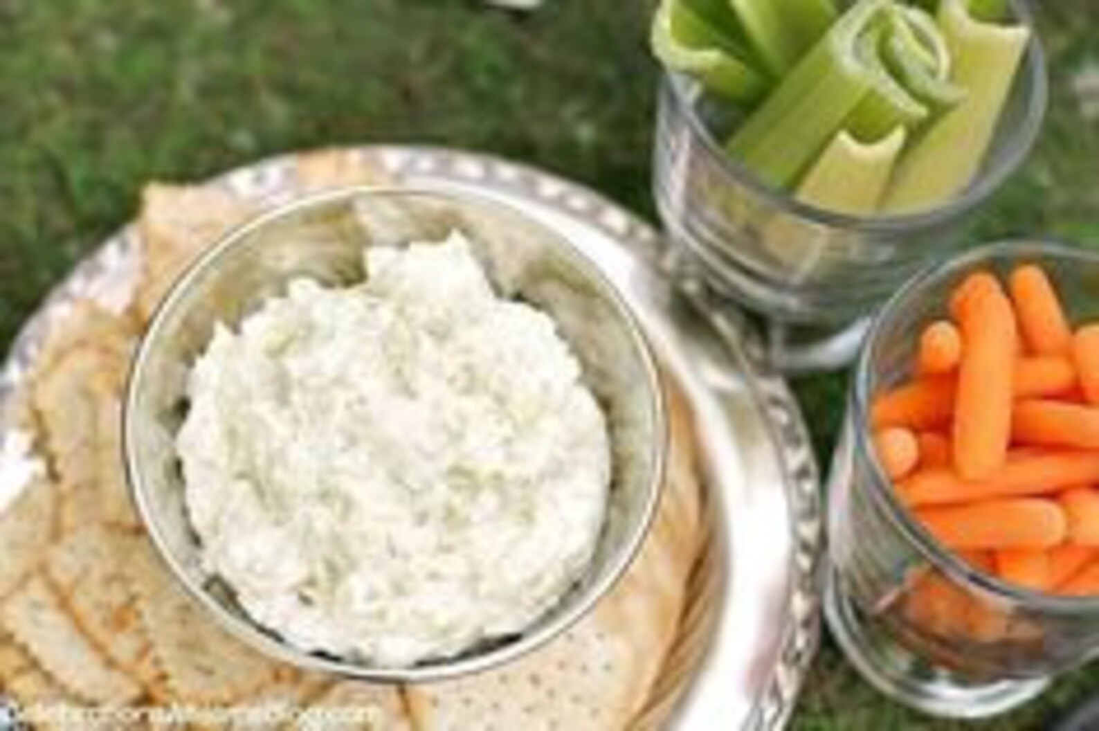 Garlic and Onion Dip Mix Etsy