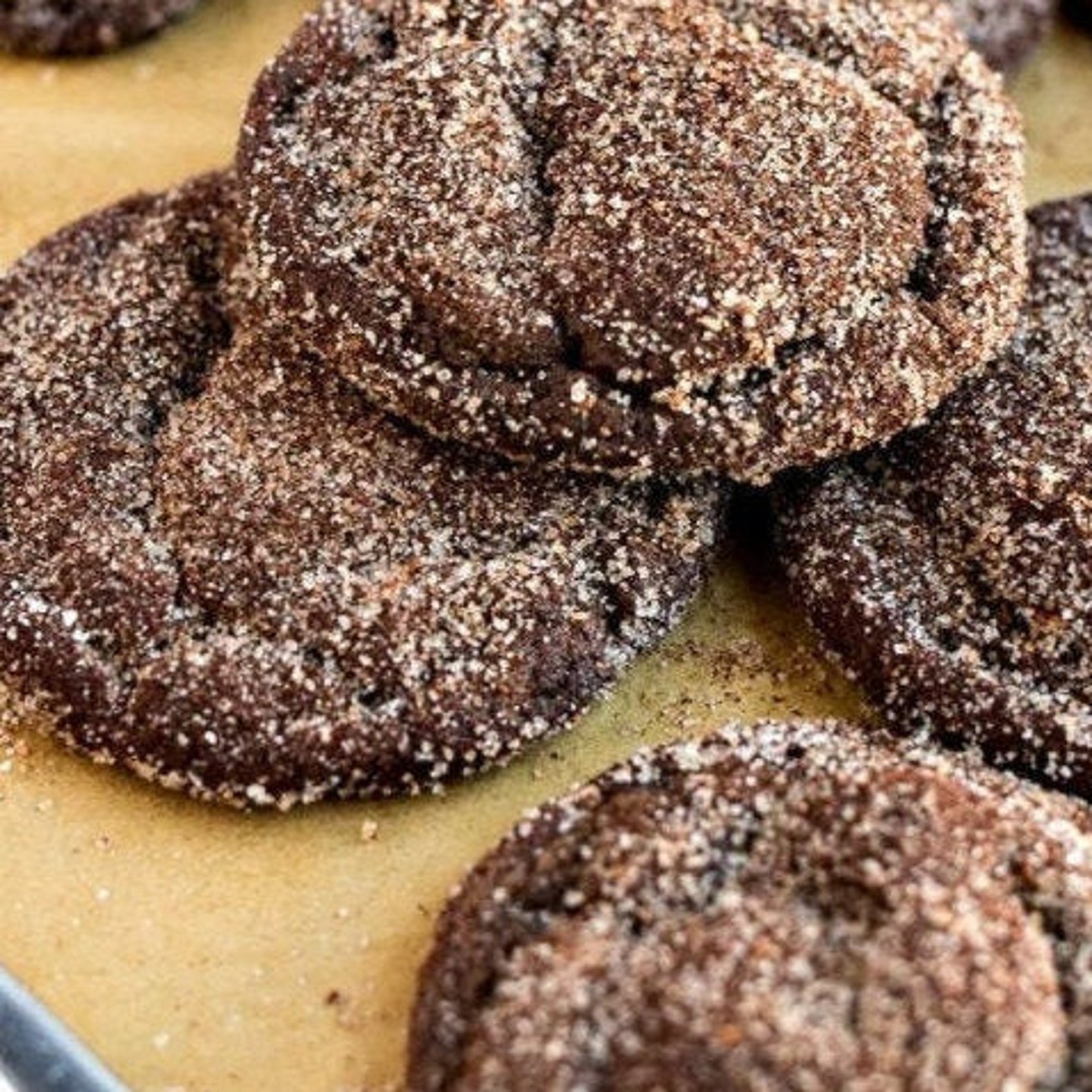 Chocolate Snickerdoodles Cookie Mix brand New Etsy