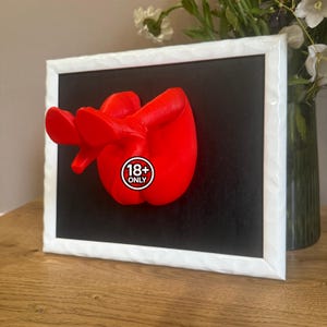 May include: A red sculpture with an abstract shape is mounted on a black background within a white textured frame. The sculpture has an "18+ ONLY" sticker on it. The artwork is displayed on a wooden surface.