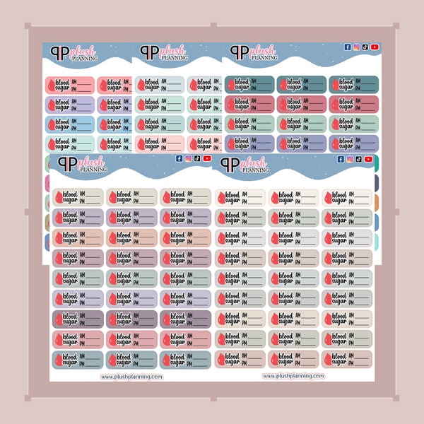 Blood Sugar Am Pm Tracker Planner Stickers