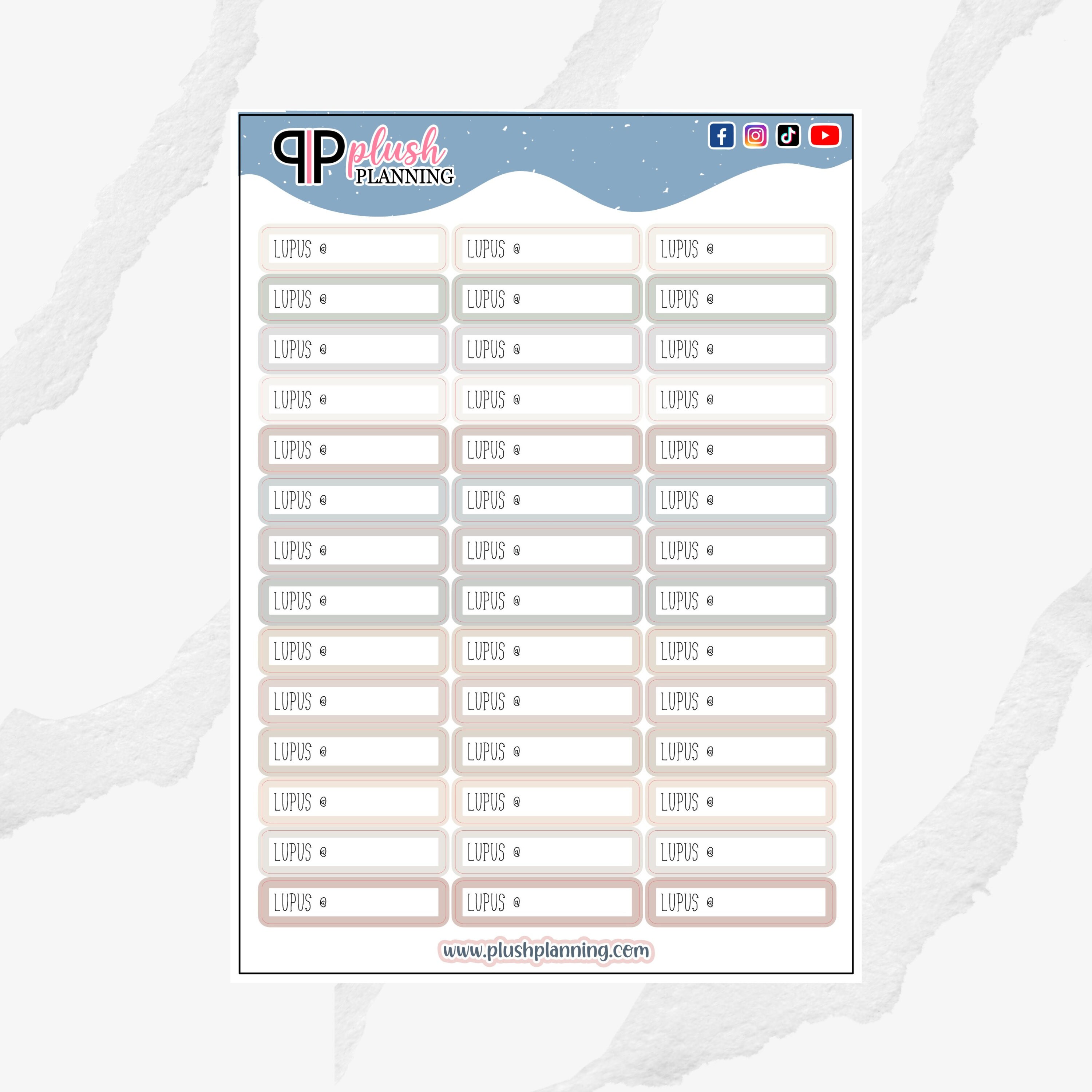 Lupus Script Label Planner Sticker, Functional Stickers, Appointment ...
