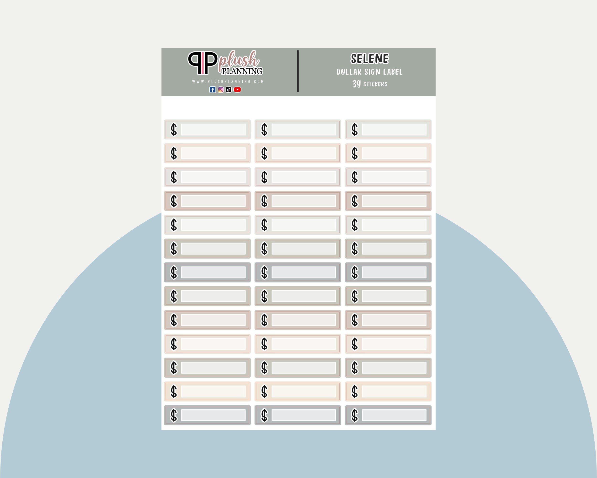 Dollar Sign Writable Label Tracker Planner Stickers, Minimalist ...