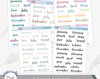 Erin Condren Monthly Scripts Planner Stickers