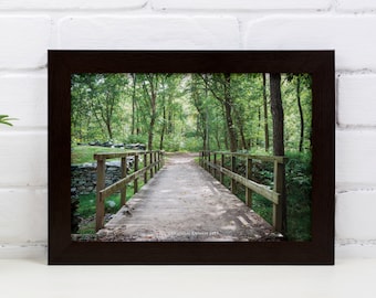 Téléchargement numérique de pont de marche, randonnée dans le parc national, Virginia Woods, photo de paysage, nature, pont de parc, marche dans les bois