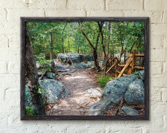 Téléchargement numérique du parc national de Great Falls, Sterling Virginia, fleuve Potomac, paysage aquatique, paysage naturel, photo de la rivière, rivière Rapids