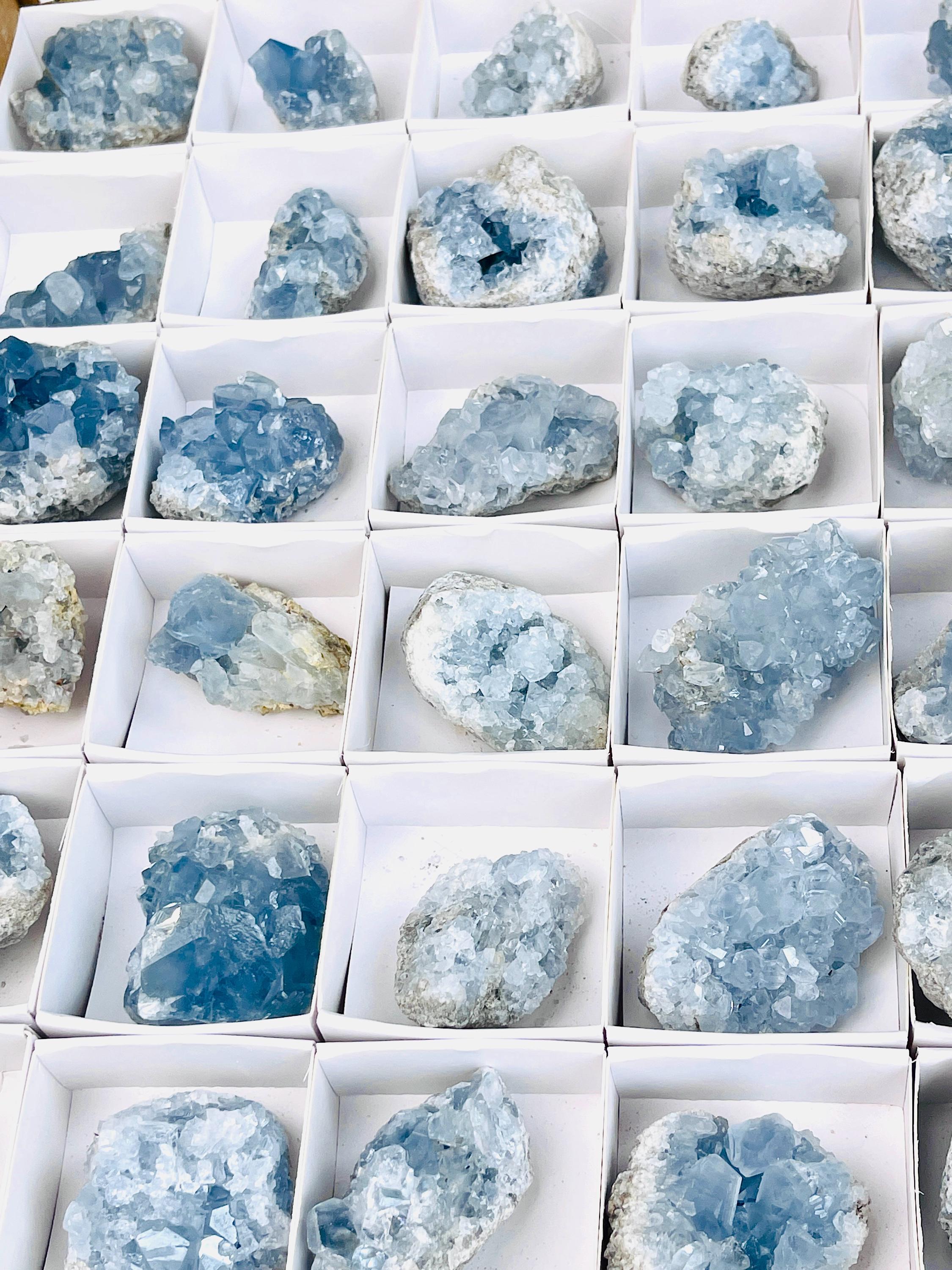 セレスタイトクラスター　ジオード セレスタイトクラスター ジオード セレスタイトジオード - クラスター