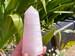 Mangano calcite crystal tower, Pink Mangano Calcite, High Quality Pink Calcite crystal tower healing crystal,home decoration, crystal gift