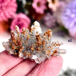 Quarz mit Rhodochrosit, Laki Bulgarien