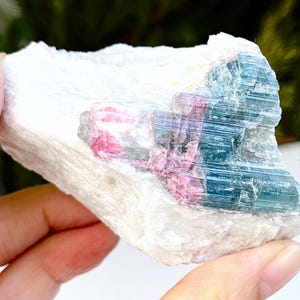 Esemplare di tormalina anguria, tormalina multicolore, tormalina bicolore grezza, esemplare naturale di tormalina anguria, regalo di cristallo-4