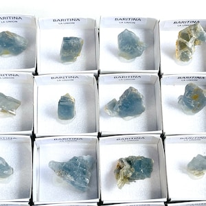 Può includere: Dodici piccole scatole bianche, ciascuna contenente un cristallo di barite blu-grigio di La Union. Le scatole sono disposte in una griglia 4x3.