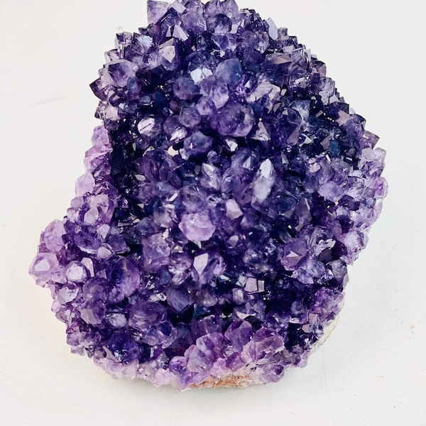 Amethyst Rossett Specimen