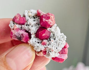 Granate grosularia, ejemplar mineral de granate rosa frambuesa de alta calidad y rareza ~ Coahuila, México