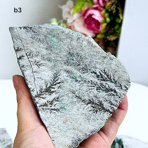 Cristallo di dendrite nel calcare che ricorda la forma di un albero, opera d'arte della natura, arredamento naturale per la casa, dendrite del Congo