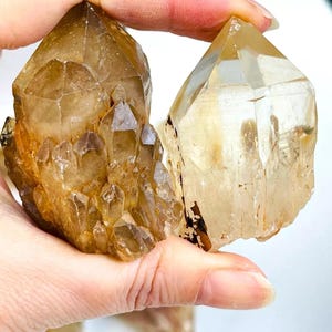 以下が含まれることがあります： 金色がかった茶色の色合いの、透明な水晶のポイントが2つ。水晶は集まっており、自然で素朴な外観をしています。