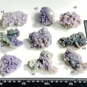 May include: Nine grape agate specimens in shades of purple and green, displayed on a white surface. A ruler, marked in centimetres, is positioned alongside the stones for size comparison.
