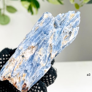 Blaues Kyanit Specimen