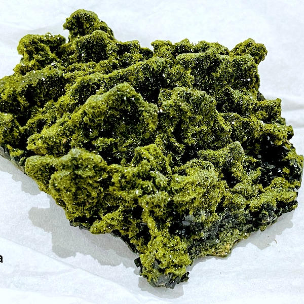 Forest Epidote, Super Sparkly Green Epidote with Quartz Specimen, Epidote Specimen, Crystal Gift, Mineral Collection-5