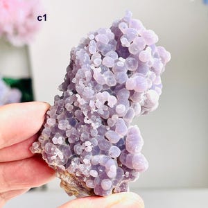 May include: A cluster of grape agate, a gemstone with a bubbly, botryoidal structure. The stone has a soft, lavender hue with rounded formations. The base of the stone is a mix of brown and tan. The image also shows the text "c1".