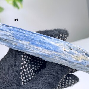 Großer blauer Kyanit mit Quarz Kristall