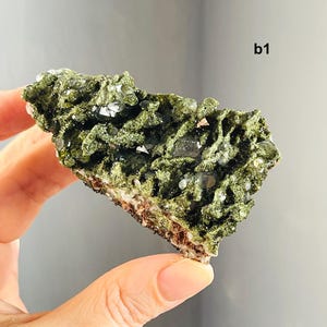 Sparkling Forest Epidote with Quartz Specimen: Turkish Mineral Gift