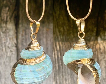 conch Shell on an 18 inch gold colour necklace non tarnish