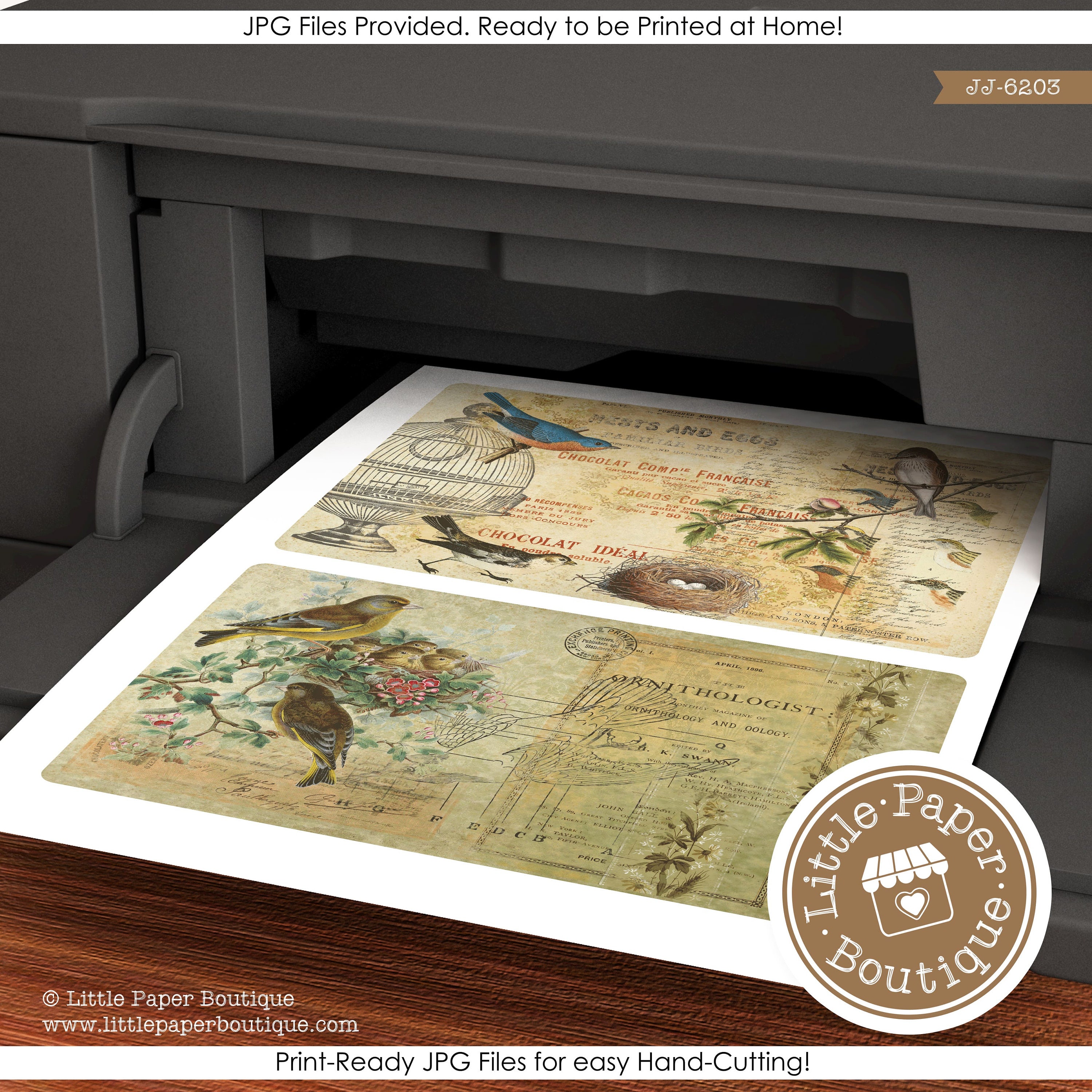 Vintage Birds Aviary Digital Junk Journal Kit (FULL KIT) With Scrapbook ...