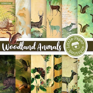 Woodland Animal Digital Paper Printable Forest Papers Woodlands Backgrounds Nature Scrapbooking Bear Deer Bunny Moose Owl Plants and Animals