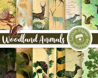 Woodland Animal Digital Paper Printable Forest Papers Woodlands Backgrounds Nature Scrapbooking Bear Deer Bunny Moose Owl Plants and Animals