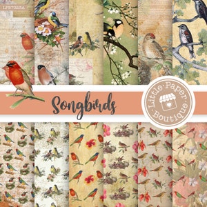 Gold Songbird Digital Paper, Vintage Scrapbook, Antique Sheet Music Digital Paper Pack, Decoupage, Bird Backgrounds Gold Collage Song Birds