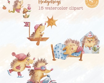 Watercolor Hedgehogs Clipart | Baby Forest Animals - Woodland Hedgehog Clip Art - Scrapbook Nursery Art - Digital Instant Download PNGs
