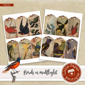 Vintage Birds Aviary  Digital Paper, Vintage Scrapbook, Antique Sheet Birds Digital Paper Pack, Decoupage, Birds Backgrounds Gold Collage