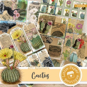 kit de journal vintage imprimable Cactus Desert Flowers Garden vintage, kit de journal, journal indésirable, cartes ATC, feuilles de collage horizontales