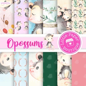 Opossum. Watercolor animals clip art, wild, native, forest, wreath, florals, little possum, North America, greeting, babyshower, woodland