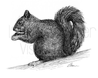 Eichhörnchen Illustration mit schwarzem Stift - Digitaler Download