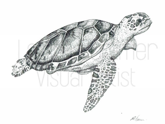 Sea Turtle Illustration in Black Pen Digital Download | Etsy