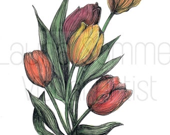 Tulip Illustration in Water-Color and Black Pen