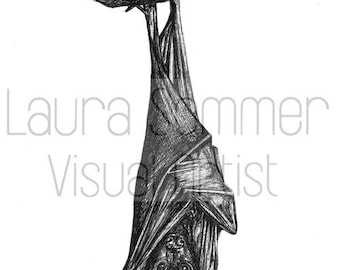 Bat Illustration in Black Pen Digital Download