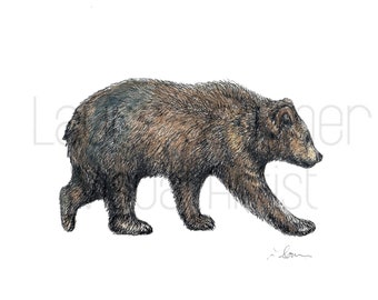 Bear Illustration in Water-color and Black Pen - Digital Download