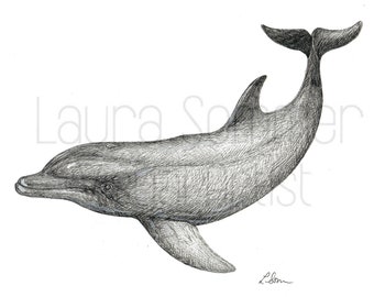 Dolphin Illustration in Black Pen - Digital Download