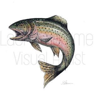 Rainbow Trout Illustration in Water-Color and Black Pen - Digital Download